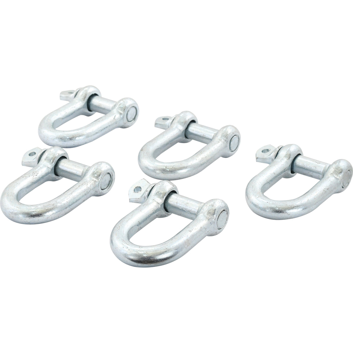 Five Sparex Screw Type D Shackles (Pin Ø19mm x 37mm Jaw Width), with screw pin closures, are arranged against a plain, white background.