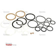 A collection of various sizes of o-rings, snap rings, and washers organized in rows on a white background. The Sparex logo is in the bottom left corner, ideal for enthusiasts looking for the Seal Kit (Transverse Steering Cylinder) - Sparex Part No.S.57952.