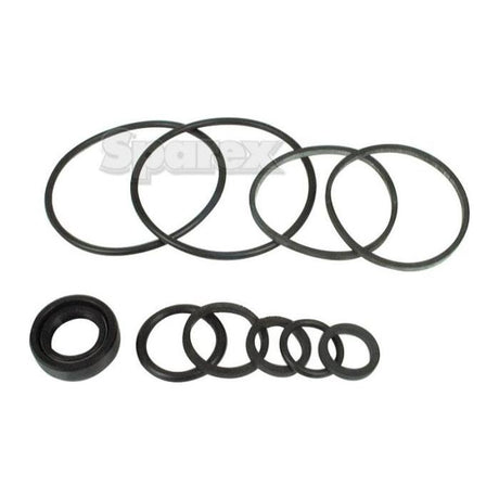 A Seal Kit for a hydraulic pump from Sparex (Sparex Part No.S.57973), featuring an assortment of different sized black rubber O-rings and seals, neatly arranged on a white background.