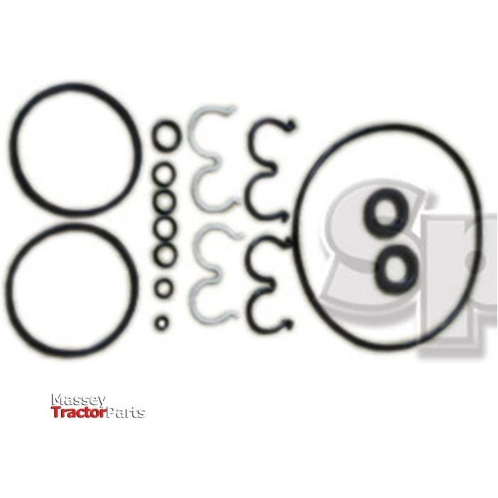 Seal Kit
 - S.65489 - Massey Tractor Parts