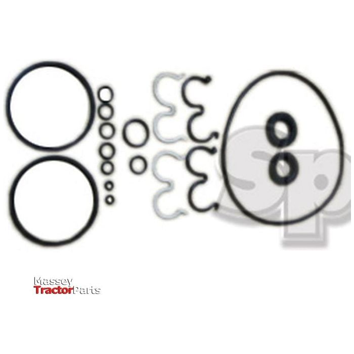 Seal Kit
 - S.65495 - Massey Tractor Parts