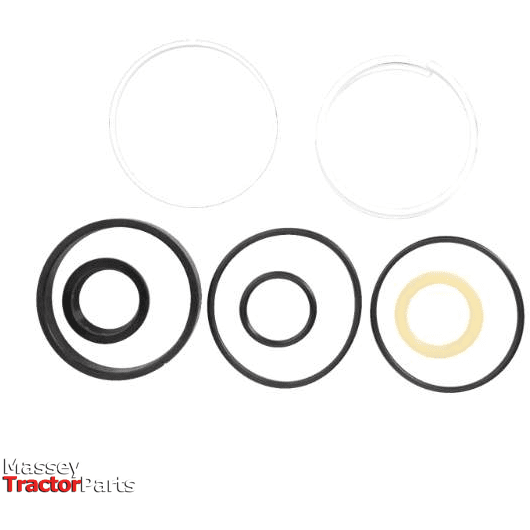 Massey Ferguson Seal Kit - Steering Cylinder - 1606890M91 | Massey Parts-Massey Ferguson-