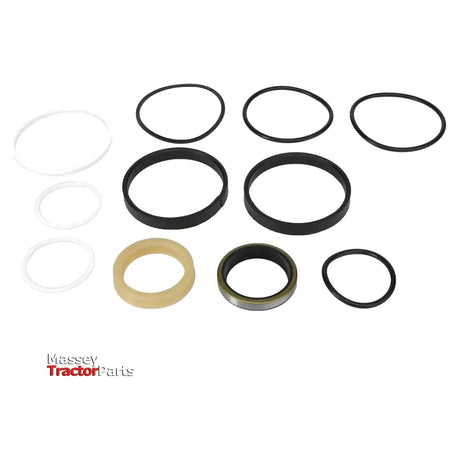 Massey Ferguson - Seals Kit - 1606532M94 - Farming Parts