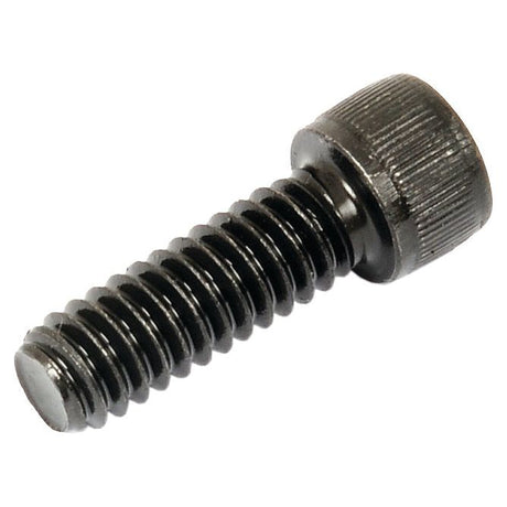 Socket Capscrew, Size: 1/4'' x 3/4'' UNC (BS 2470) - S.11669 - Farming Parts