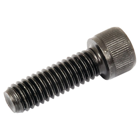 Socket Capscrew, Size: 5/16'' x 1'' UNC (BS 2470) - S.11672 - Farming Parts