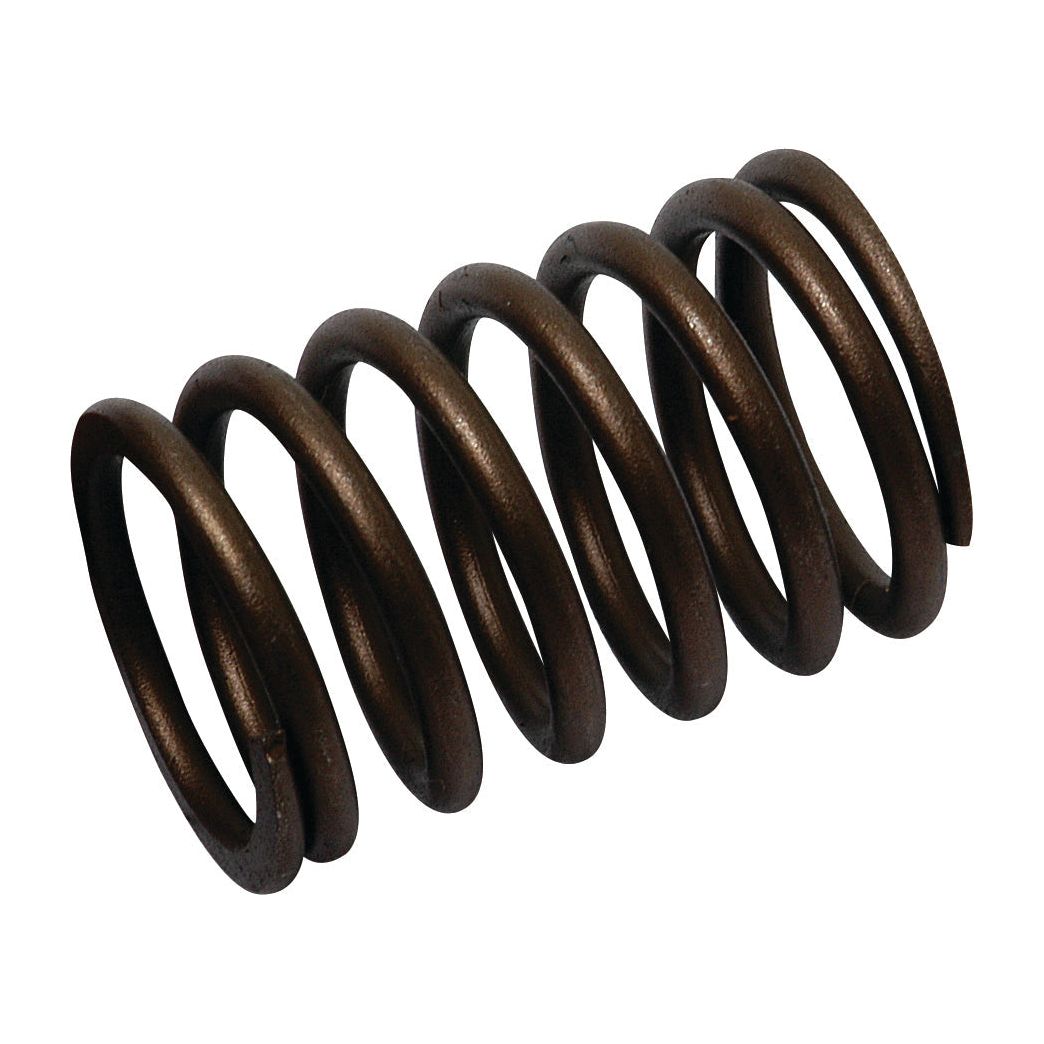 A Sparex Valve Spring - Outer (Sparex Part No. S.40505) coiled meticulously on a white background, designed for compatible engines.