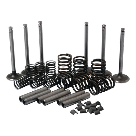 The Valve Train Kit - S.41585 by Sparex includes an array of metal engine components such as valve guides, springs, and various cylindrical parts arranged on a white surface.