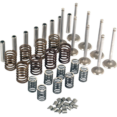 The Valve Train Kit - S.41590 by Sparex, featuring exhaust valves, intake valves, springs, retainers, and locks, is meticulously arranged in rows on a white background.