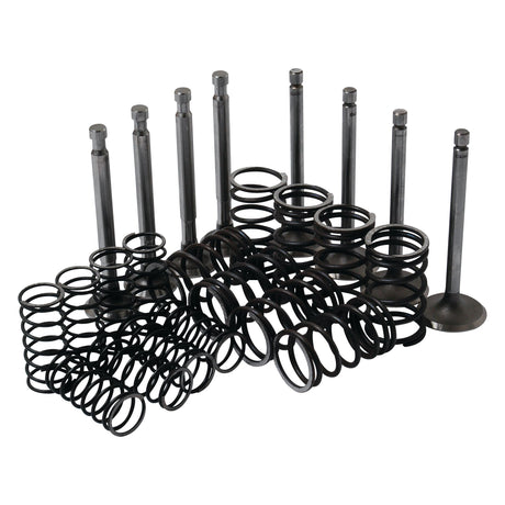 A comprehensive Valve Train Kit - S.41946 by Sparex, featuring an array of automotive engine valves (both exhaust and intake), accompanied by valve springs, organized in rows to display the various sizes and components included in the set.