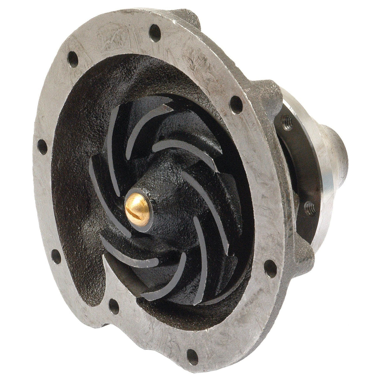 Water Pump Assembly
- S.75927 - Massey Tractor Parts