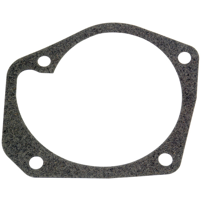 Water Pump Gasket
 - S.64873 - Massey Tractor Parts