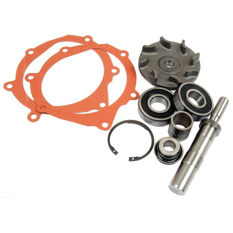 An image depicting the Sparex Water Pump Repair Kit (Sparex Part No. S.42443) showcases various components such as gaskets, seals, a shaft, an impeller, and bearings neatly arranged on a white background. This kit is ideal for Massey Ferguson 1014 and Landini 9500 models.