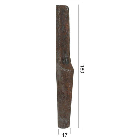 Rusty metal object measuring 180mm in length and 17mm in width, potentially compatible with Lely equipment. Identified as a Sparex Weld on Repair Tip 180mm, replacement for Lely models (fits as: 1169914870 | Sparex Part No. S.78633).