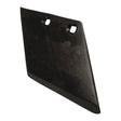 The Wing 6'' 2 Hole RH (G1425P01B), a flat, rectangular metal blade with two mounting holes at the top, is compatible with Sparex Fasteners (Part No. S.78324).