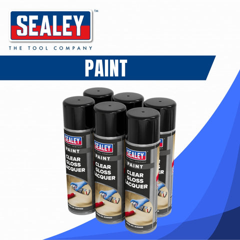 Sealey Paint