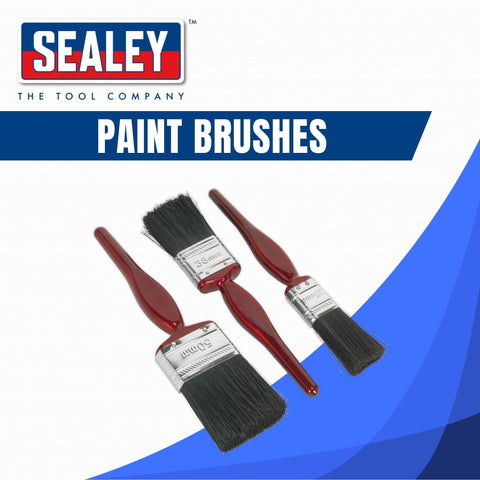 Sealey Paint Brushes