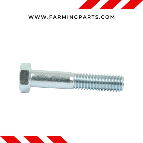 1/4 Nuts & Bolts