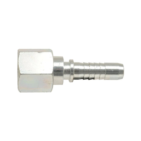 1-piece-fittings ORFS Female