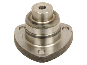 Sparex King Pin | S.107487 - Product Image 1