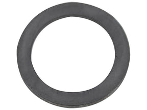 Sparex Washer | S.108116 - Product Image 1