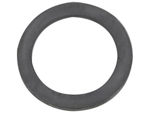 Sparex Washer | S.108116 - Product Image 1