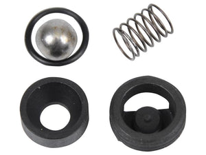 Sparex Hydraulic Inlet Valve Repair Kit | S.108447 - Product Image 1