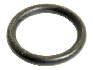 A black rubber O-ring from Sparex, specifically the O Ring 5 x 31mm Shore (Sparex Part Number: S.110881), lies flat against a plain white background.