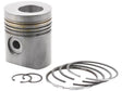 Sparex Piston & Ring Set | S.110968 - Product Image 1