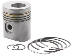 Sparex Piston & Ring Set | S.110968 - Product Image 1