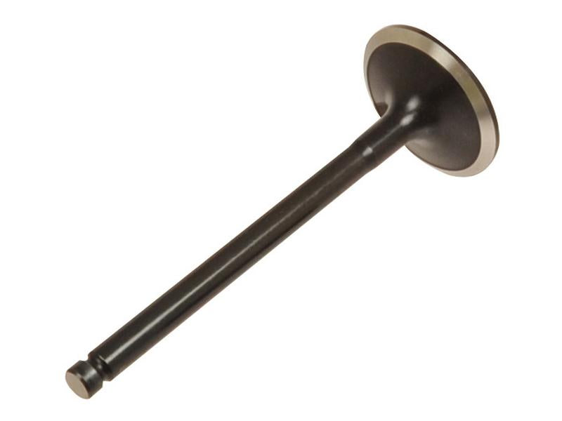 Inlet Valve - Sparex Part S.111773