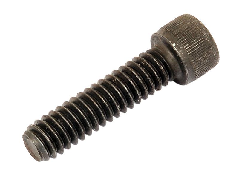 Sparex Socket Capscrew 1/4''x1'' UNC High-Tensile Steel | S.11670