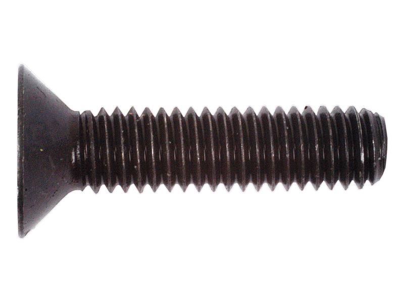 Metric Countersunk Socket Screw M6x25mm DIN 7991 Self Colour | S.11797