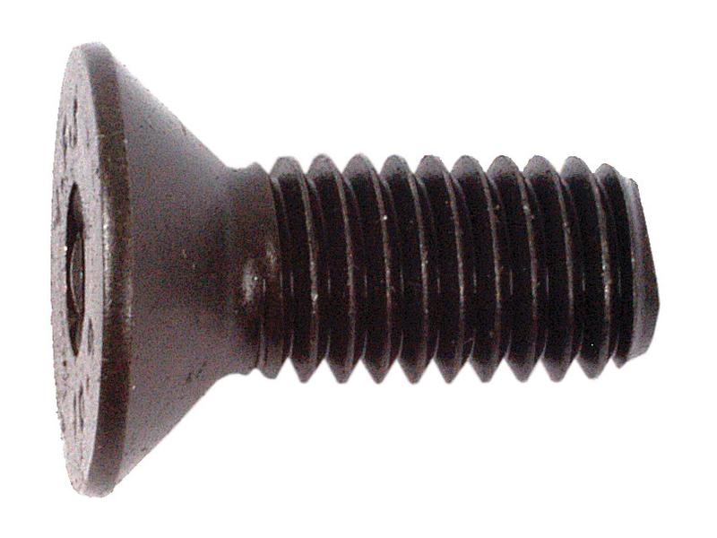 Sparex M8x20mm Metric Countersunk Hex Socket Screw Self Colour | S.11800