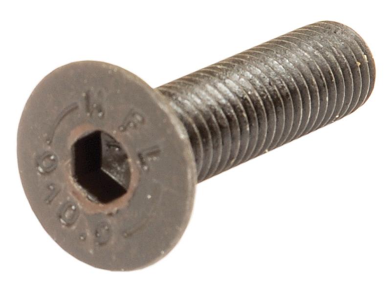 Sparex M10x40mm Countersunk Hexagon Socket Screw Self Colour | S.11809