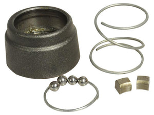 This image shows the Sparex | Autolok QR Repair Kit 1 3/8, a set of mechanical parts including a metal cap, two springs, a ring with three ball bearings, and two small rectangular pieces.