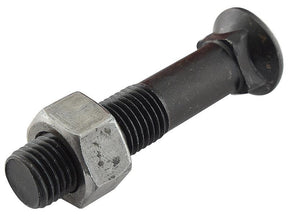 Sparex Round Countersunk Square Hex Bolt & Nut (TFCC) - 12 x 80mm, Tensile strength 12.9 (25 pcs. Box) | S.12004260 - Product Image 1