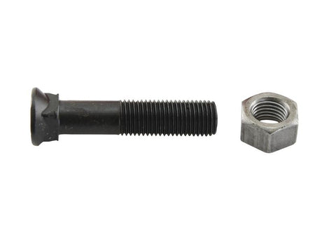 Sparex Round Countersunk Square Hex Bolt & Nut (TFCC) - 12 x 90mm, Tensile strength 12.9 (25 pcs. Box) | S.12004270 - Product Image 2