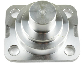 DANA SPICER King Pin [BRANDSAVE] To fit as: 750.06.036.04 | S.12014930 - Product Image 1
