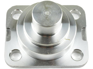 DANA SPICER King Pin [BRANDSAVE] To fit as: 750.06.036.04 | S.12014930 - Product Image 1