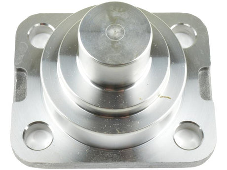 DANA SPICER King Pin [BRANDSAVE] To fit as: 750.06.036.04 | S.12014930 - Product Image 1