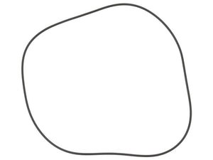 DANA SPICER O RingShore To fit as: 001.05.1119 | S.12015100 - Product Image 1