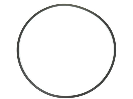 DANA SPICER O RingShore To fit as: 111.07.004.01 | S.12015320 - Product Image 1