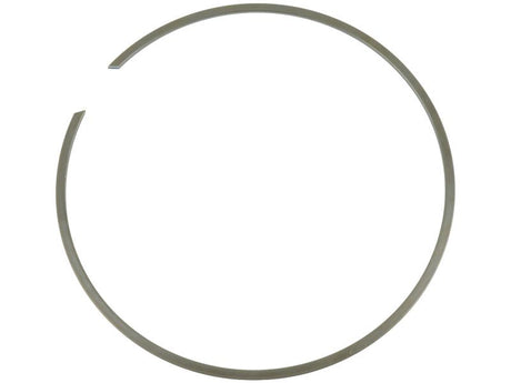 DANA SPICER Ring Gear Snap Rings To fit as: 002.06.3193 | S.12015450 - Product Image 1