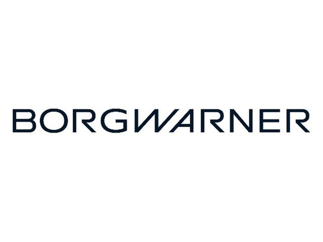 BorgWarner Viscous Fan Drive [BRANDSAVE] | S.12024700 - Product Image 3