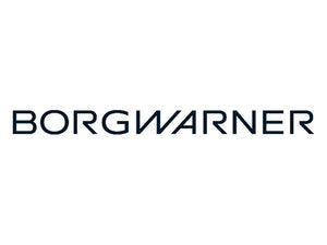 BorgWarner Viscous Fan Drive [BRANDSAVE] | S.12024760 - Product Image 3