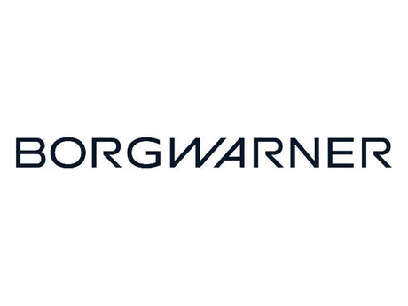 BorgWarner Fan Blade [BRANDSAVE] | S.12025110 - Product Image 3