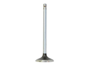 Sparex Exhaust Valve Standard | S.128916 - Product Image 1