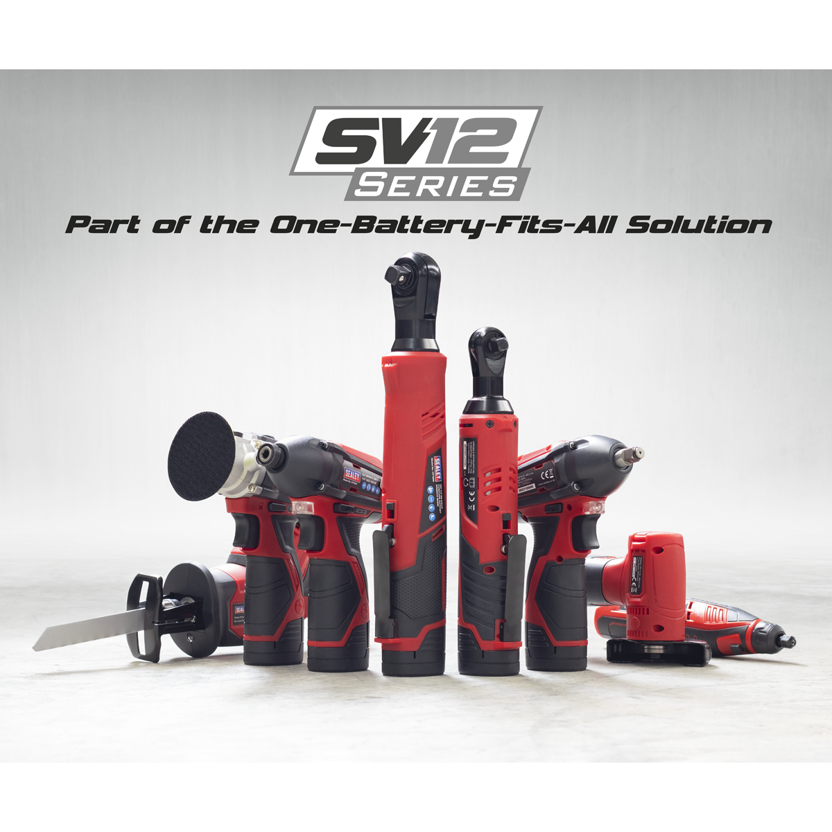 Cordless Reciprocating Saw 12V SV12 Series - 2 Batteries - CP1208KIT - Farming Parts