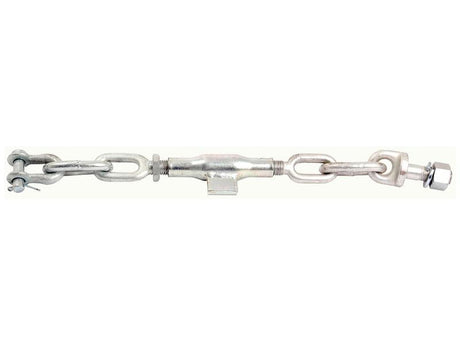Sparex Stabiliser Chain - D-Shackle Ø14mm - Thread Ø20mm - Min. Length:460mm - M20 x 2.50 Metric | S.13274 - Product Image 1