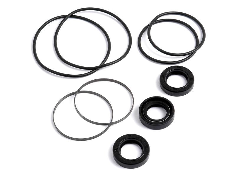 Sparex Seal Kit Hydraulic Pump Repair Set Multi-Fit Tractors | S.14642